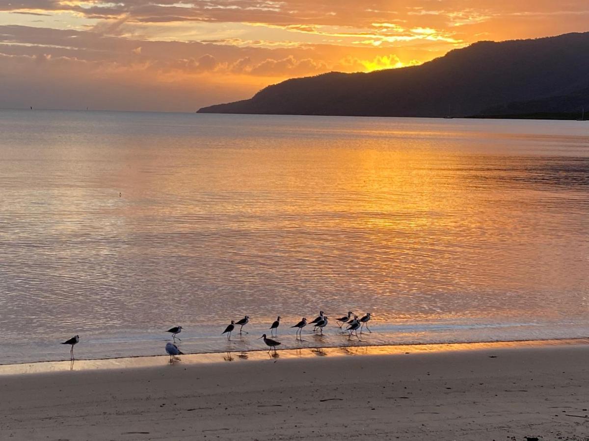 Valle Vista Luxury Apartments Cairns Dış mekan fotoğraf